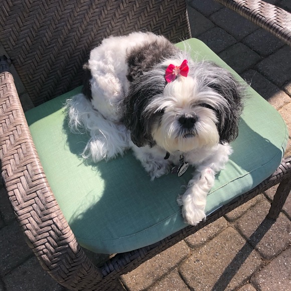 Meet your Posher, Jacqueline - Picture 1 of 1